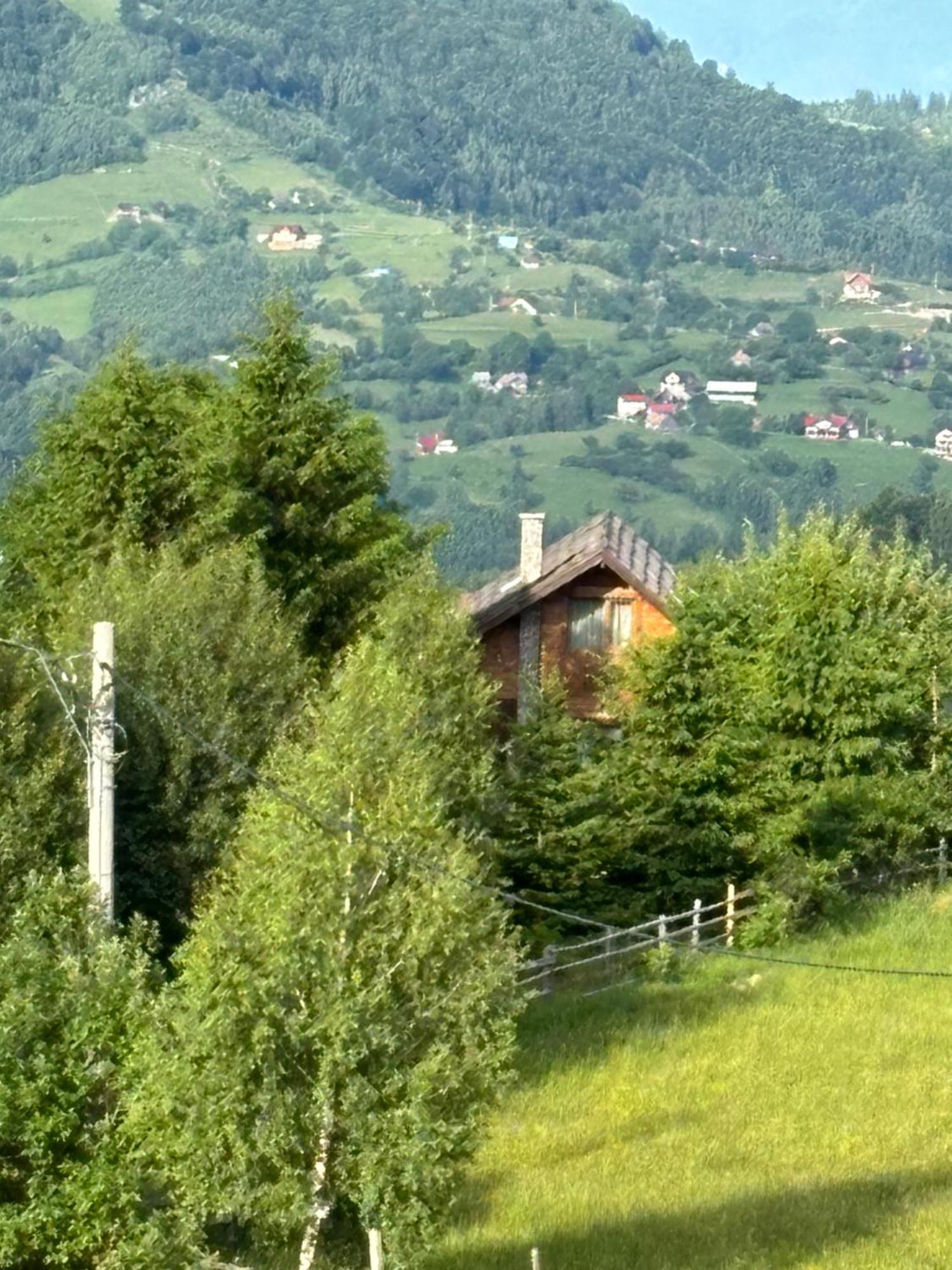 Chalet Ro Peştera Exterior foto